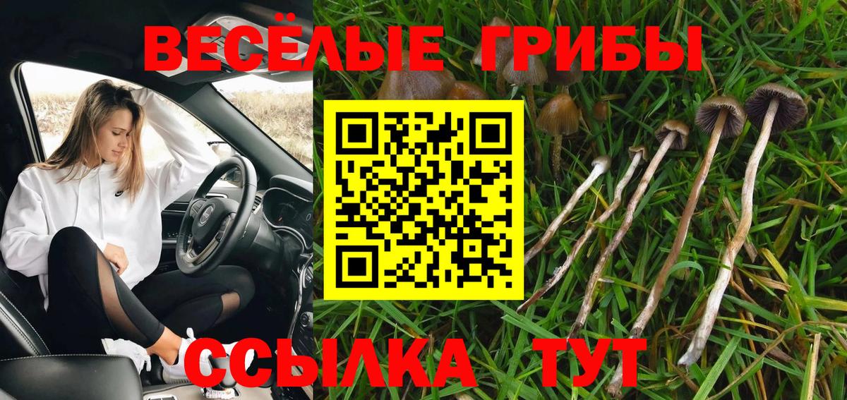 Псилоцибиновые грибы Cubensis  Вход с VPN  даркнет сайт  Аксай  Псилоцибиновые грибы Psilocybine cubensis 