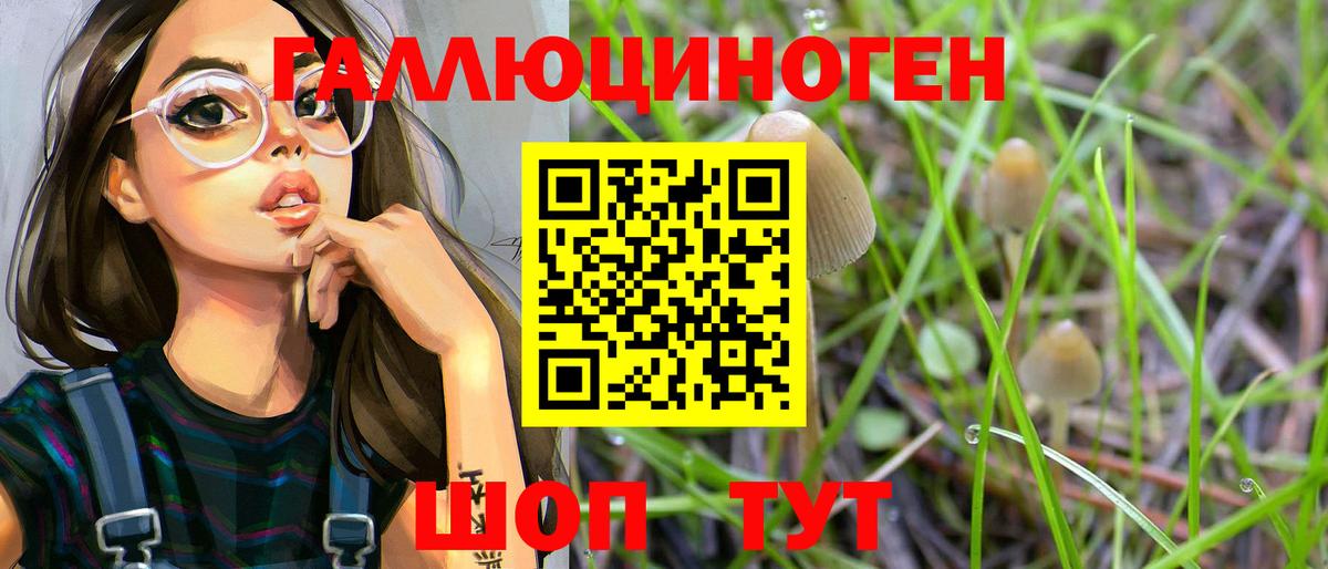 Псилоцибиновые грибы Psilocybine cubensis Аксай